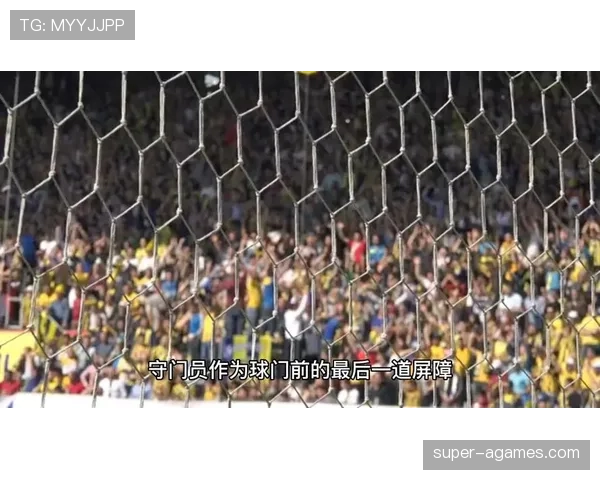 门将手球规则详解：哪些区域能用手？哪些情况算犯规？